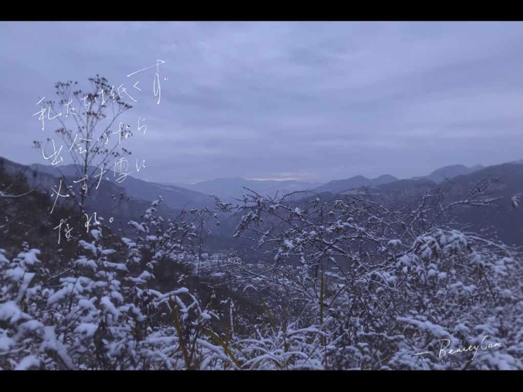 埃及坟墓的秘密