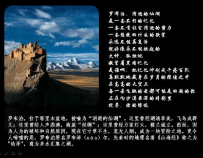 夏日的婚礼