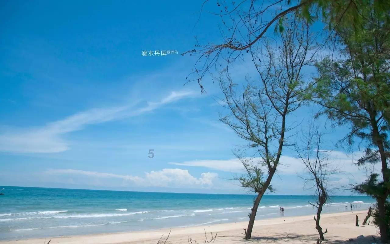 卡通世界杯找不同