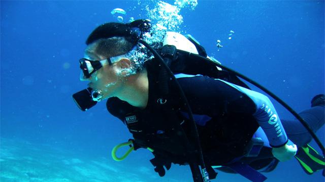 海绵宝宝寻珍宝