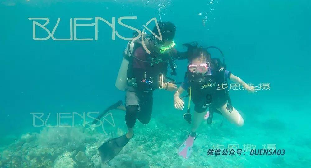 救援七星瓢虫