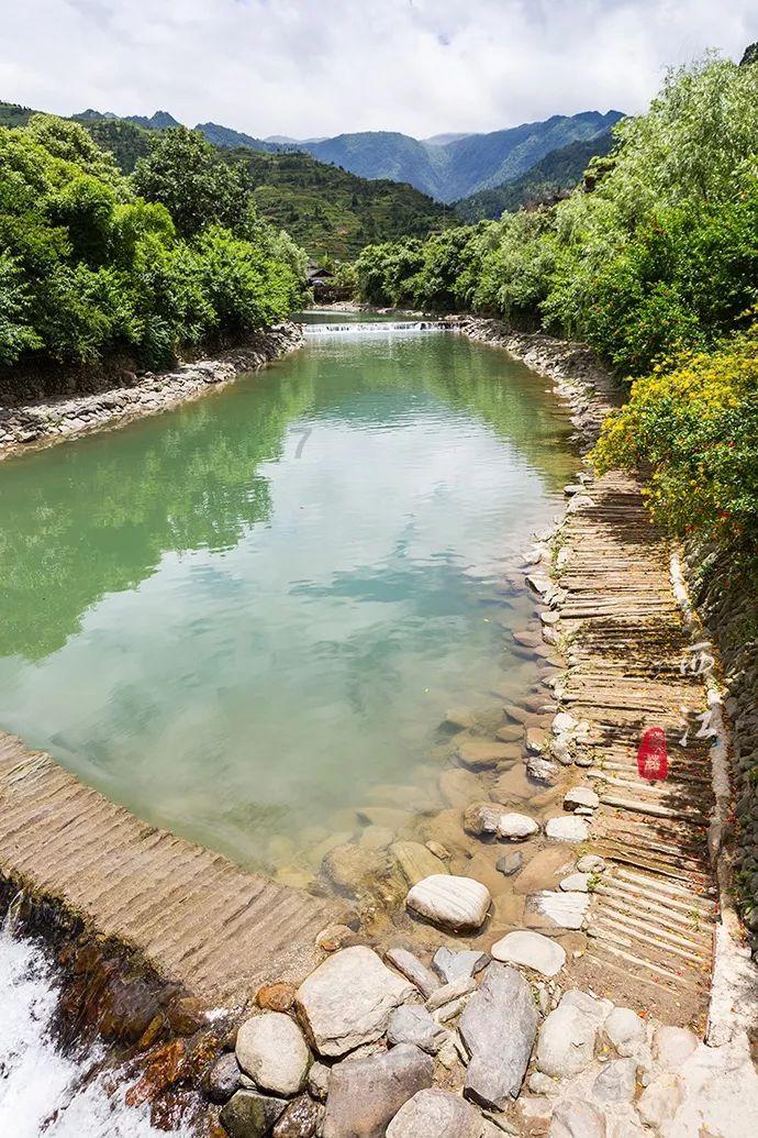 泡沫森林