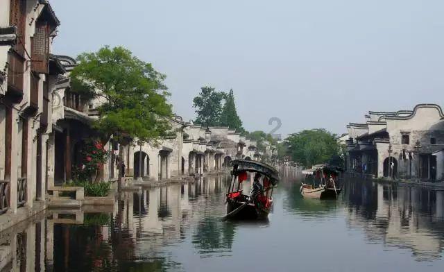 动物帮帮忙保卫家园